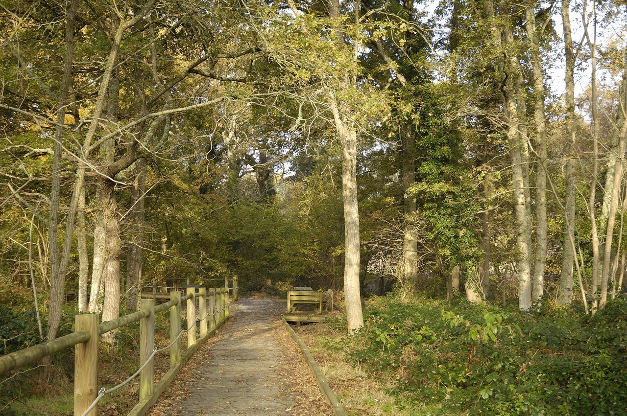 فندق Domaine De Mont-Evray Nouan-le-Fuzelier المظهر الخارجي الصورة