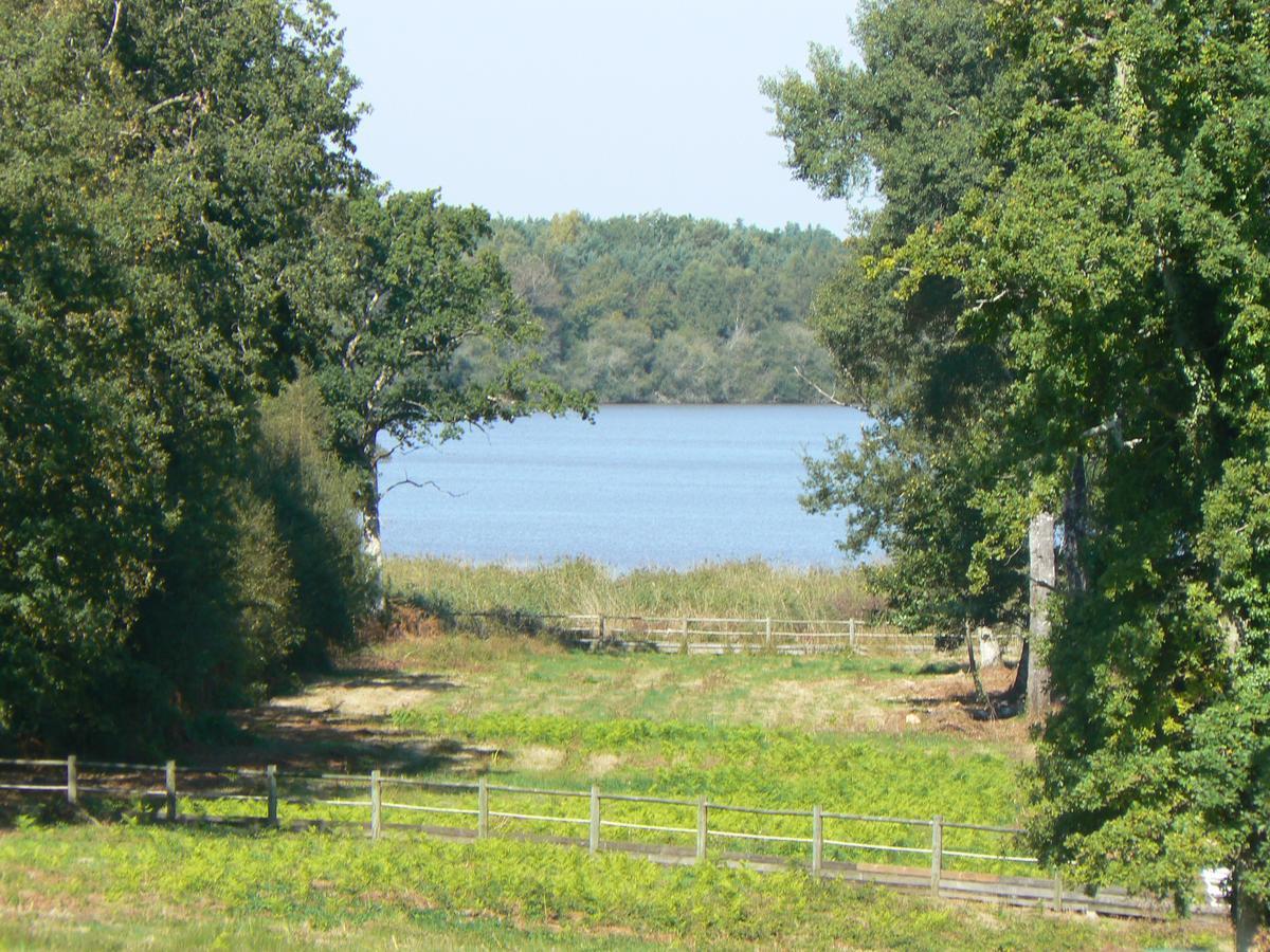 فندق Domaine De Mont-Evray Nouan-le-Fuzelier المظهر الخارجي الصورة
